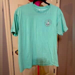Men's Teal Casual T-Shirt